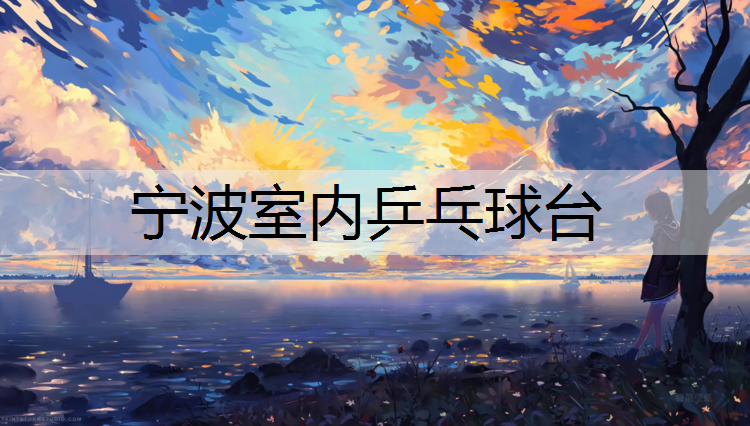 宁波室内乒乓球台