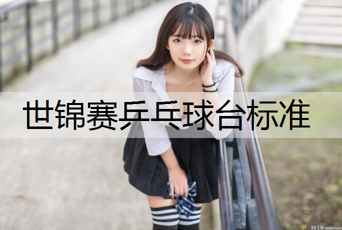 世锦赛乒乓球台标准