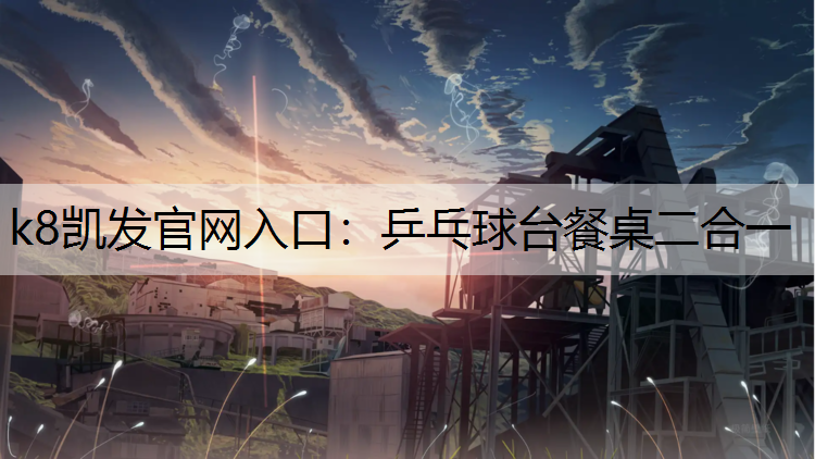 乒乓球台餐桌二合一