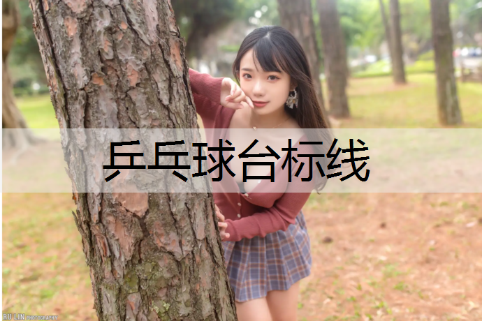 乒乓球台标线